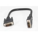 DIGITAL 800 DVID to DVID DVI Cable 1FT Male to Male