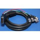 DVI-A to BNC Cable Ferrite 6FT